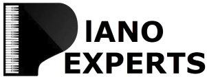 Black text reading 'Piano Experts' with the first p stylized as a grand piano viewed from above.